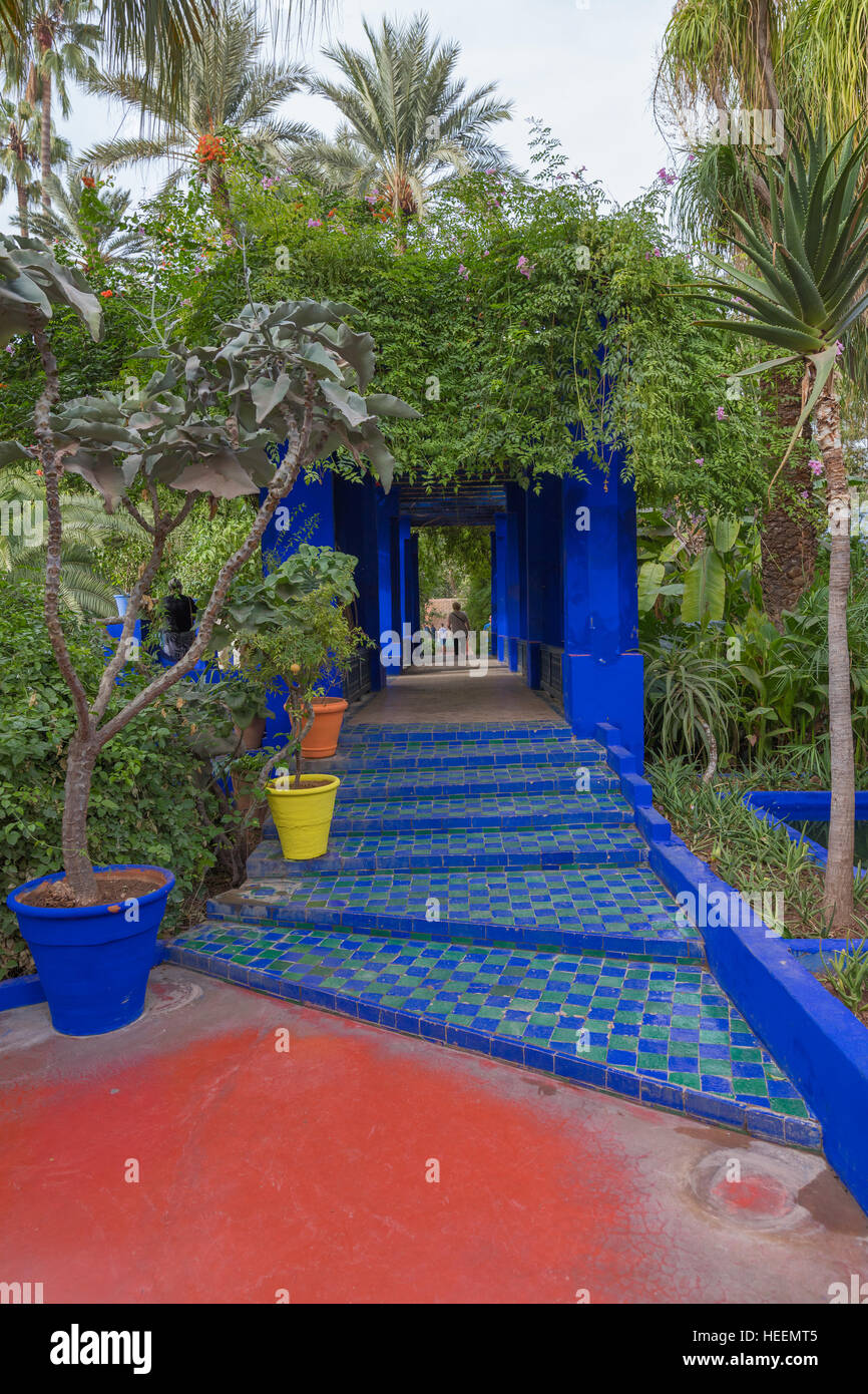 Le jardin Majorelle, Marrakech, Maroc Banque D'Images