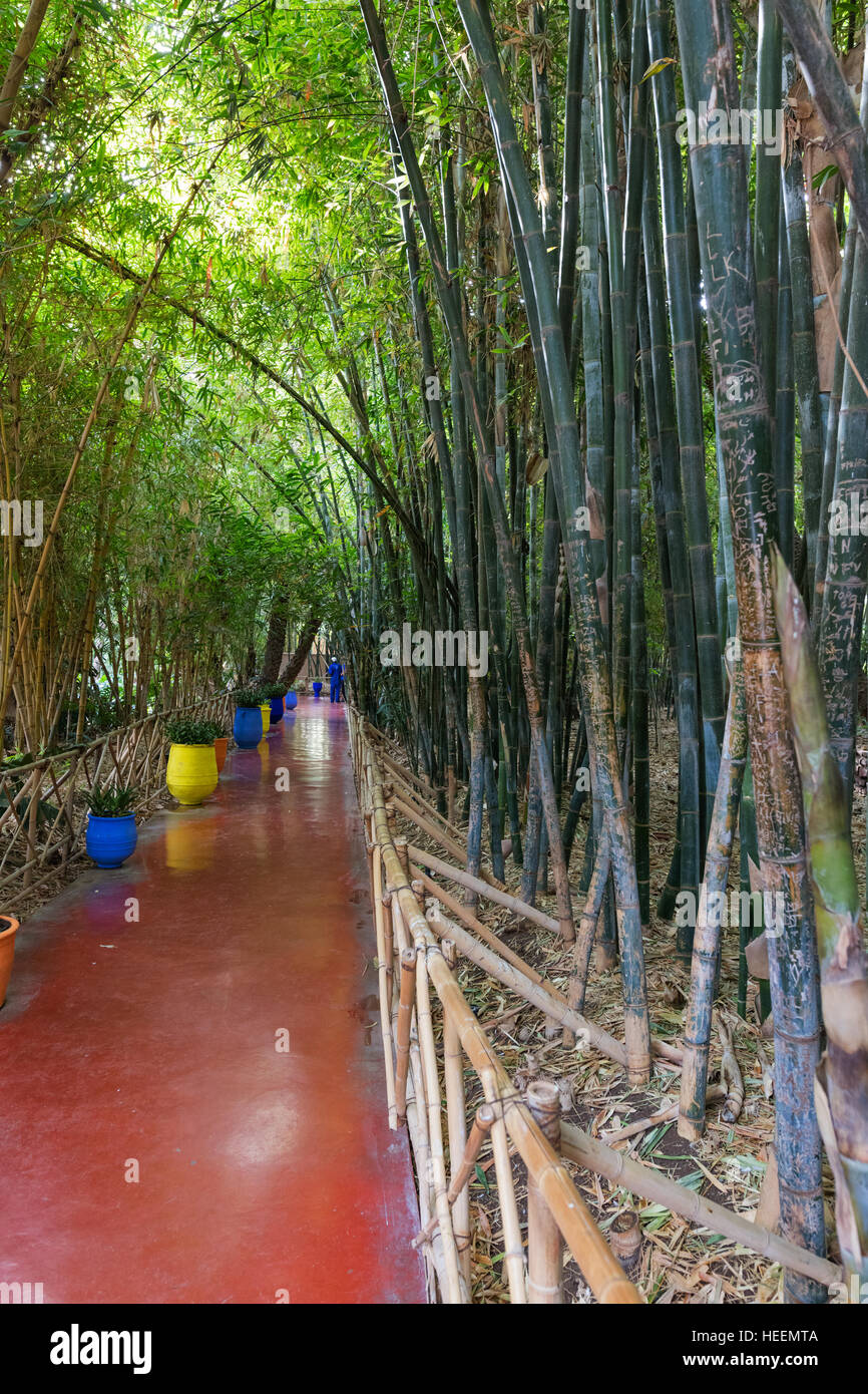 Le jardin Majorelle, Marrakech, Maroc Banque D'Images