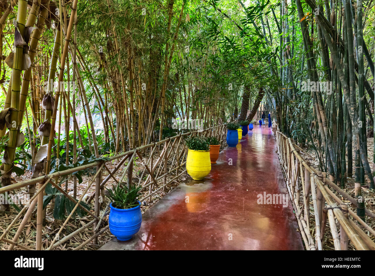 Le jardin Majorelle, Marrakech, Maroc Banque D'Images