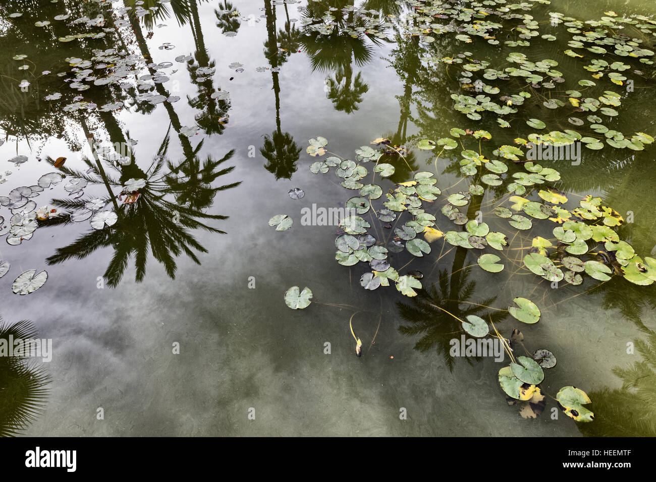 Le jardin Majorelle, Marrakech, Maroc Banque D'Images