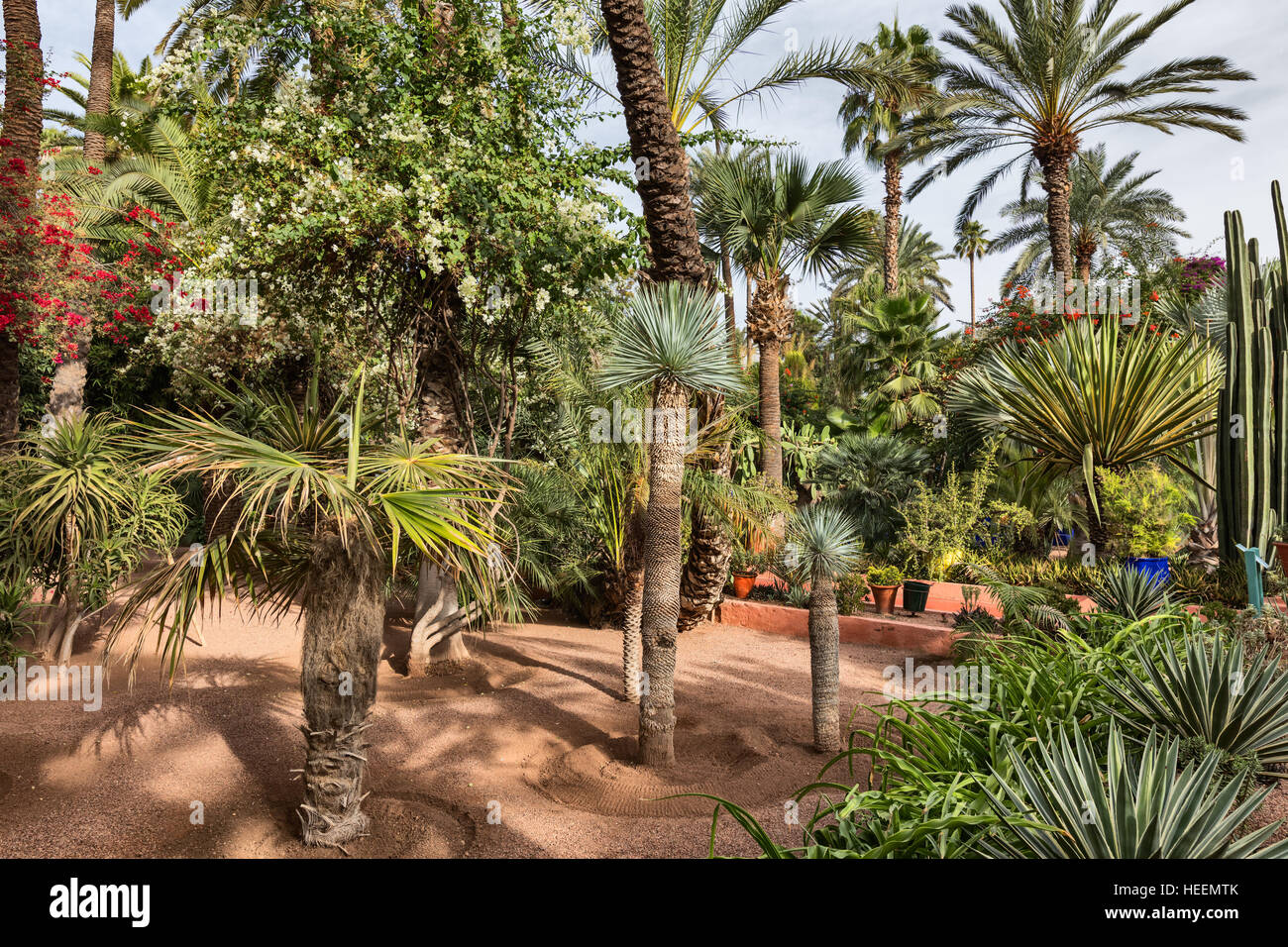 Le jardin Majorelle, Marrakech, Maroc Banque D'Images