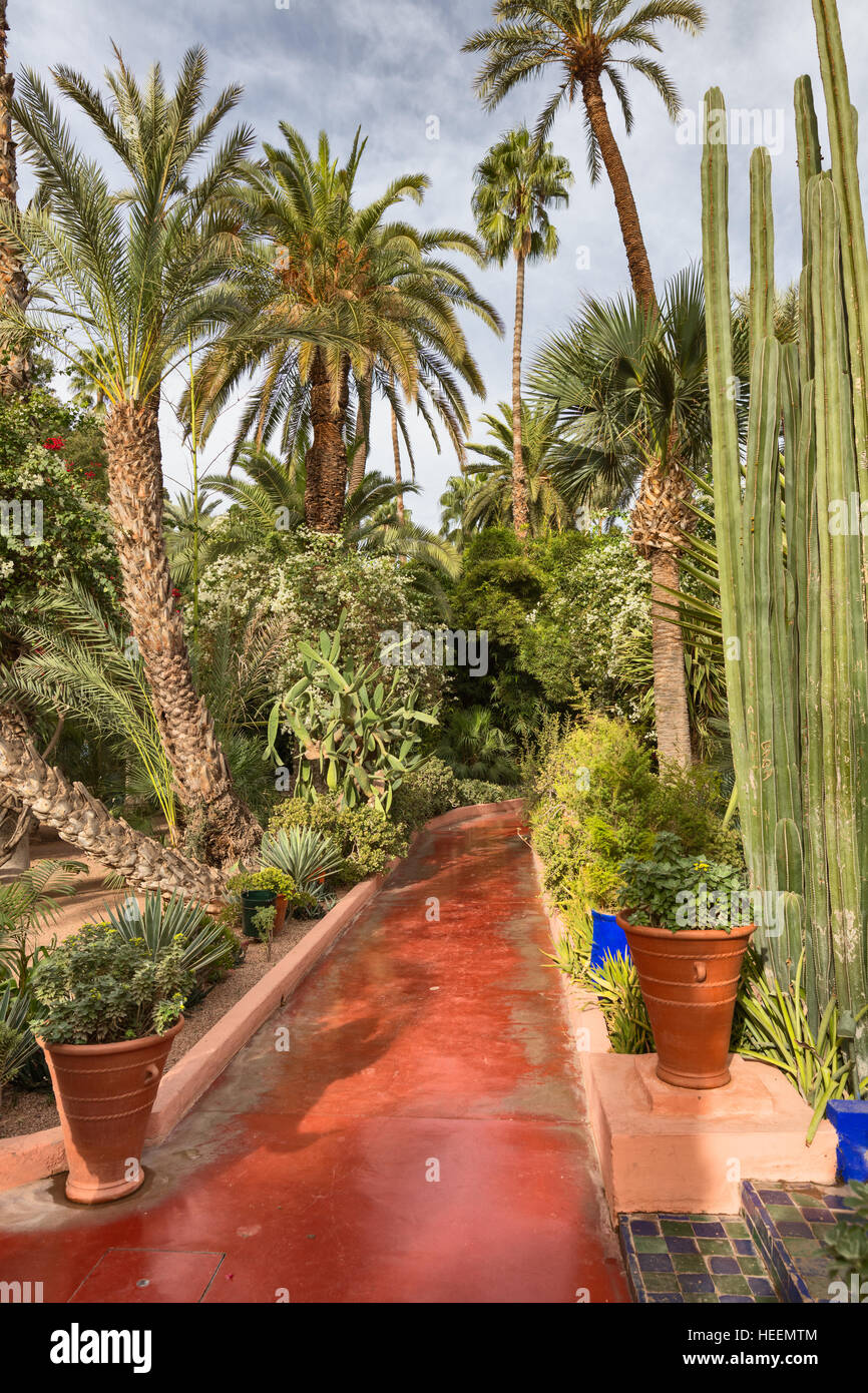 Le jardin Majorelle, Marrakech, Maroc Banque D'Images