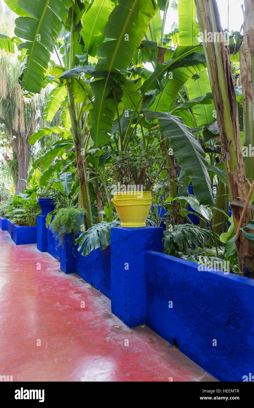 Le jardin Majorelle, Marrakech, Maroc Banque D'Images