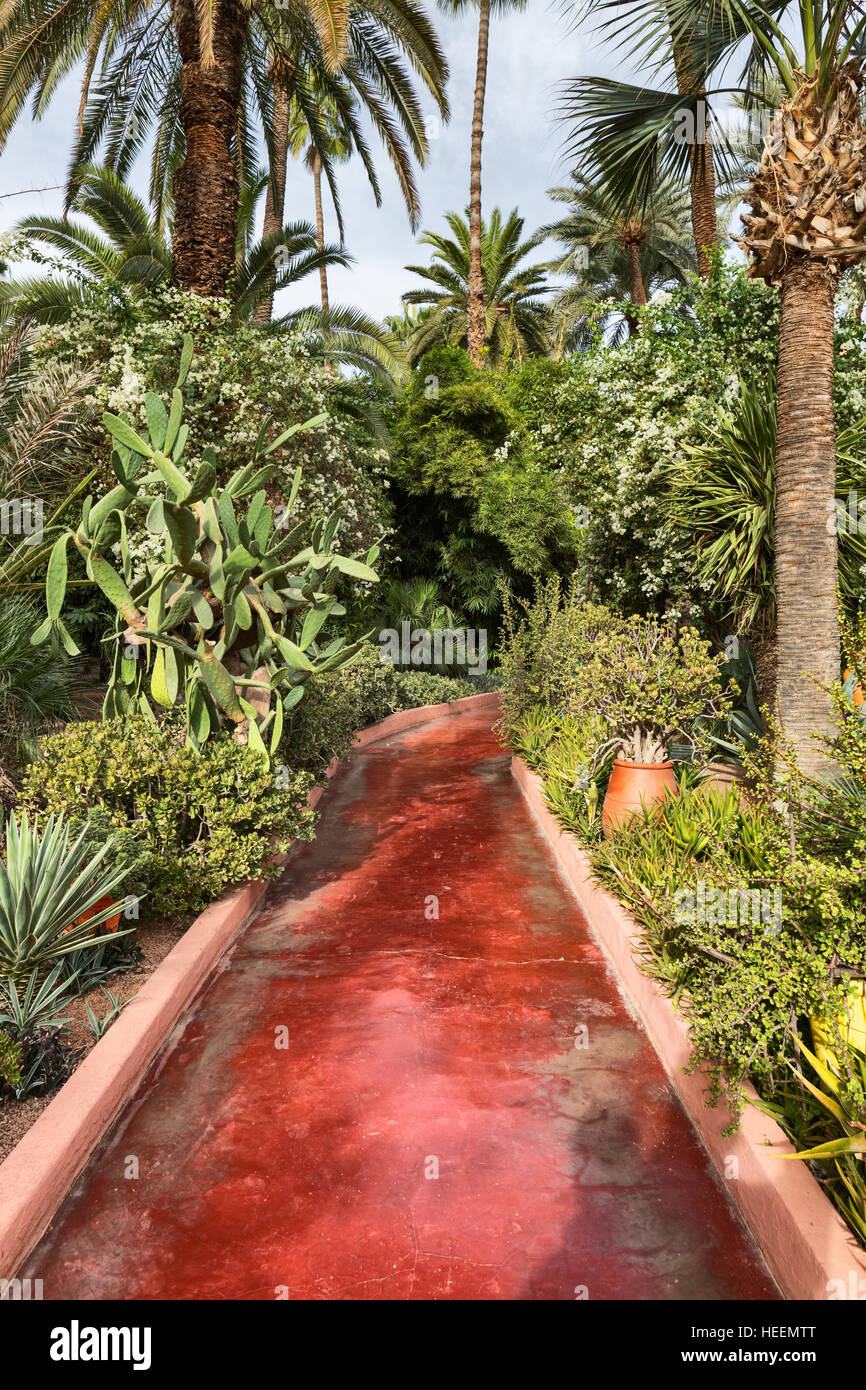 Le jardin Majorelle, Marrakech, Maroc Banque D'Images