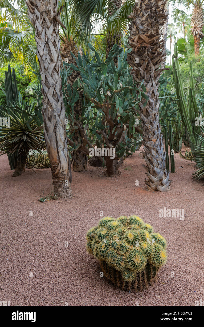 Le jardin Majorelle, Marrakech, Maroc Banque D'Images