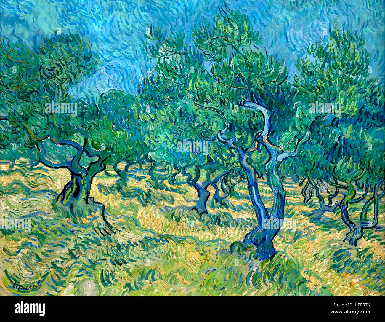 Olive Grove, par Vincent van Gogh, 1889, Kroller-Muller Museum, le Parc national Hoge Veluwe, Otterlo, Pays-Bas, Europe Banque D'Images
