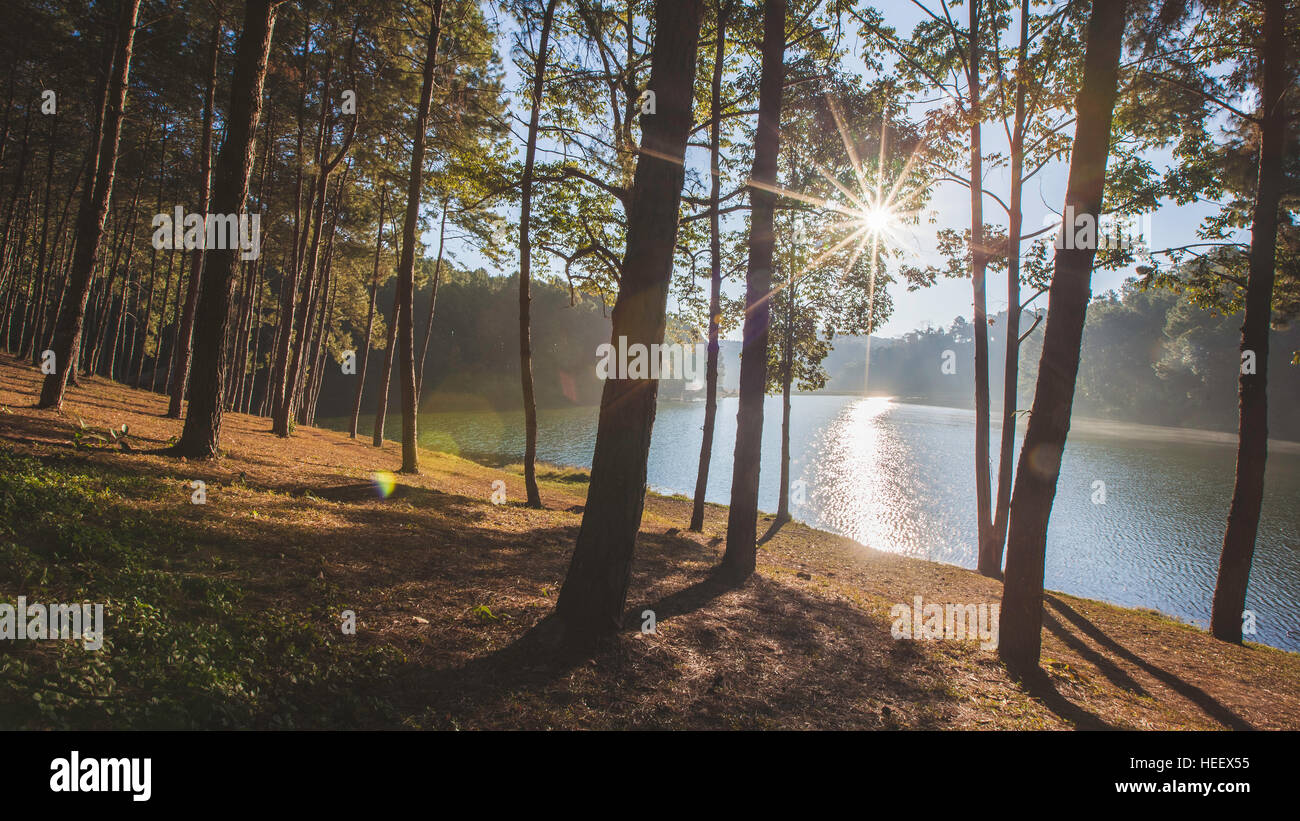 Lever du soleil à Pang Ung pine forest park, Pang Ung Mae Hong Son, Thaïlande Banque D'Images