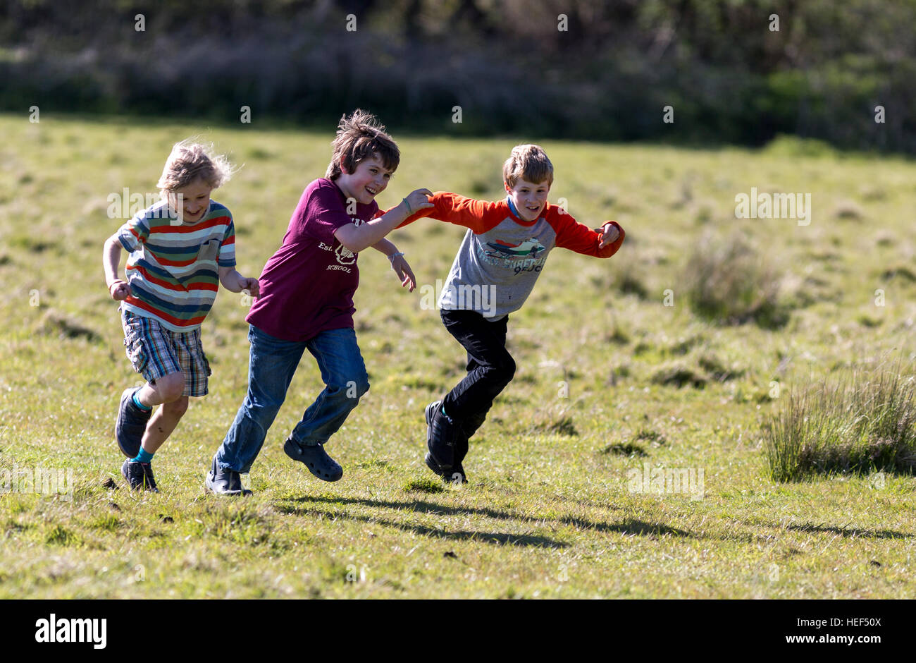 Les enfants ayant une course dans le champ d'un agriculteur dans le Kent, Angleterre, Royaume-Uni. Banque D'Images