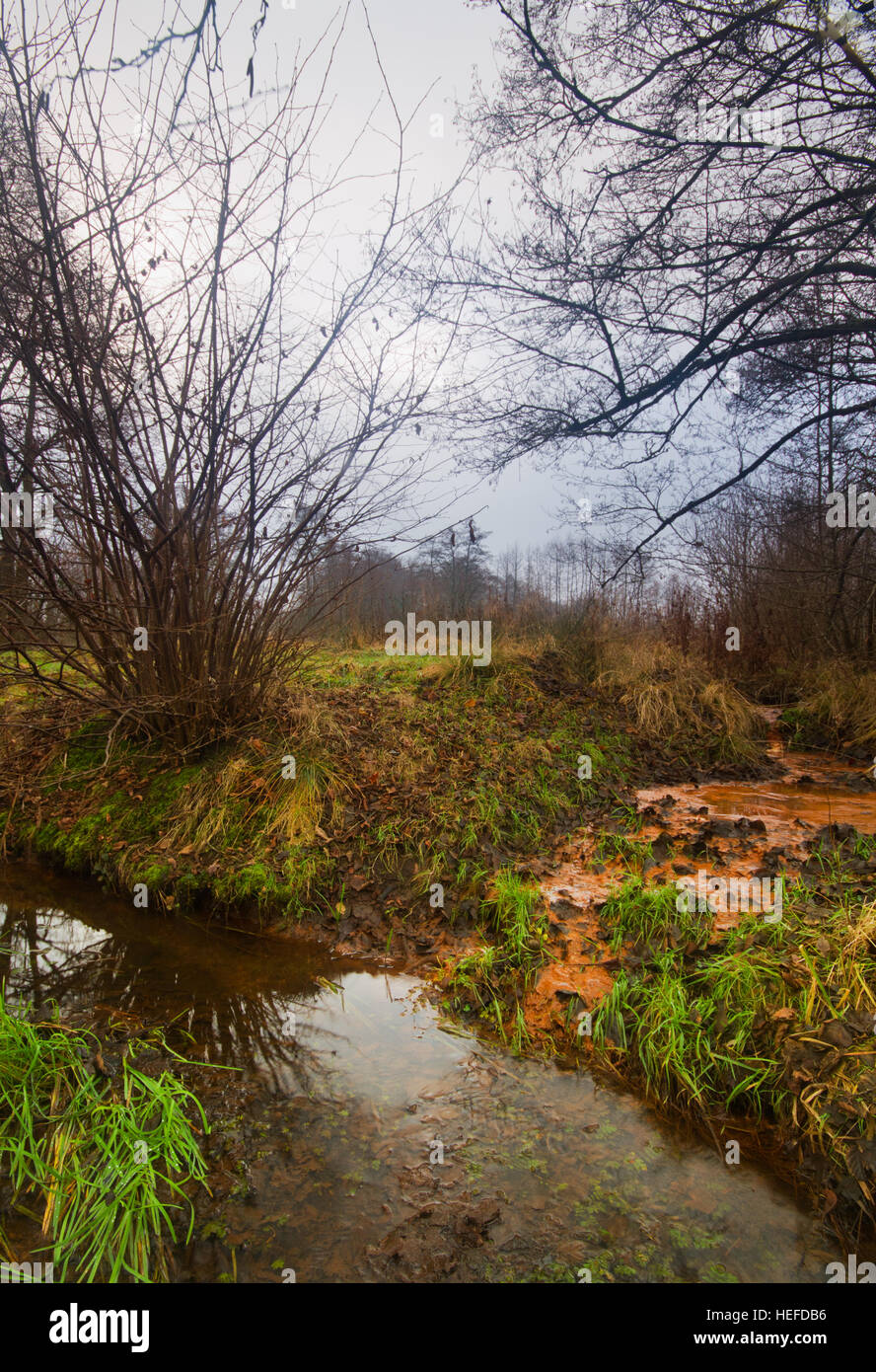 L'écoulement des eaux souterraines riches en fer dans un petit ruisseau Banque D'Images