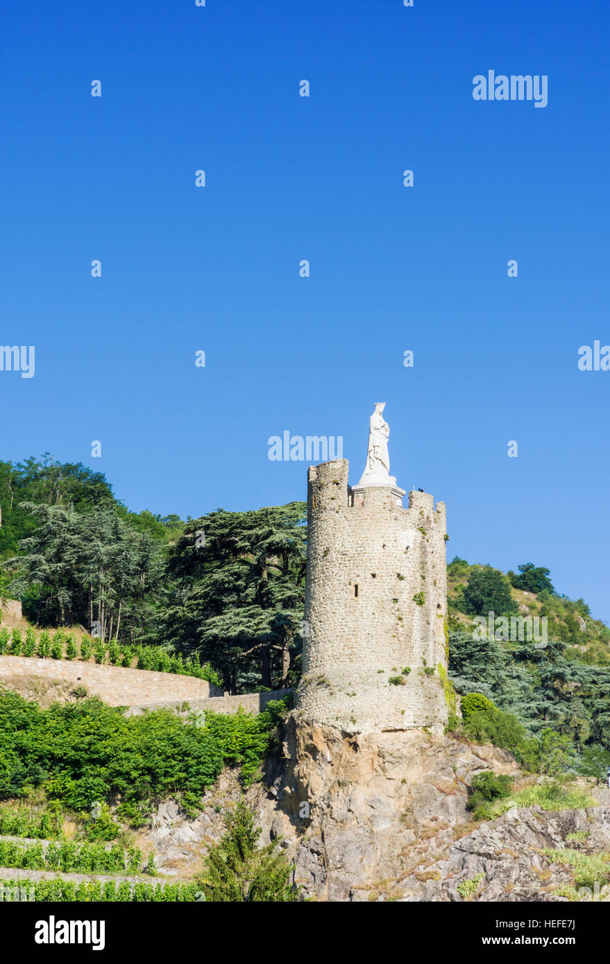 La tour de guet du 16ème siècle de l'Hôpital négligé par vignobles en terrasses au-dessus de Tournon-sur-Rhône, Ardèche, France Banque D'Images