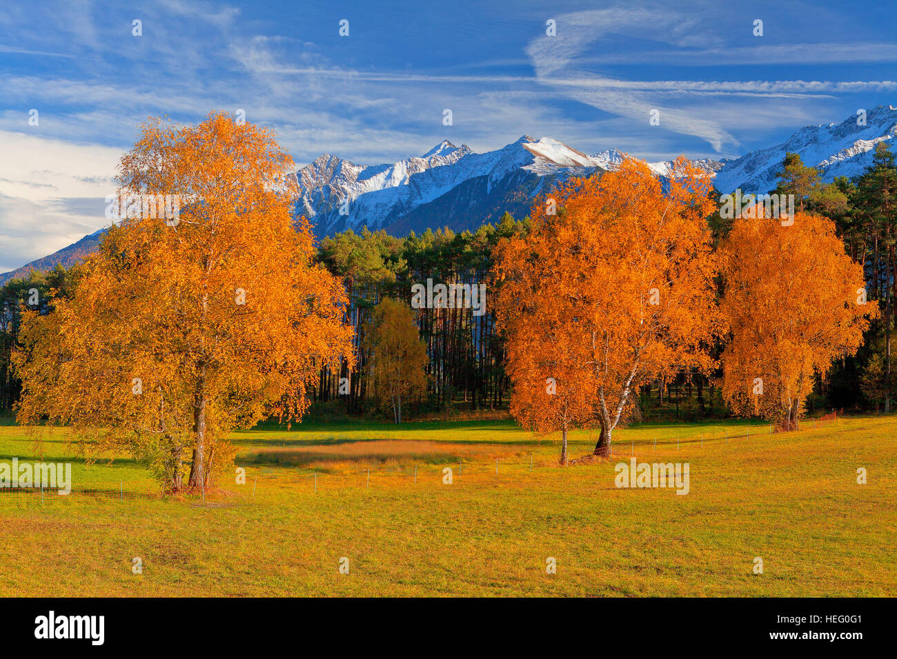 L'Autriche, le Tyrol, l'automne dans le plateau de Mieming Banque D'Images