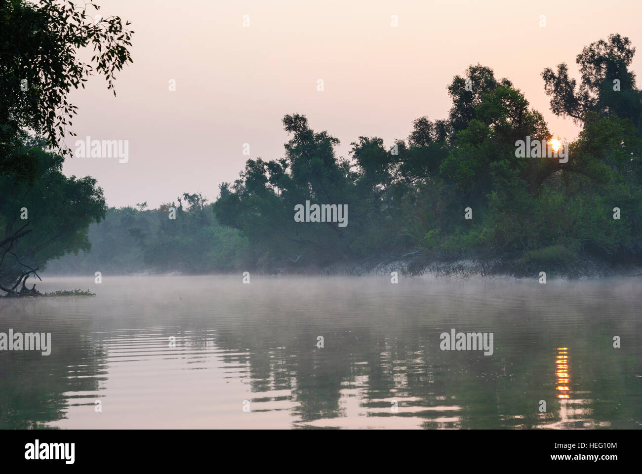 Parc national des Sundarbans : forêt de mangroves au lever du soleil, la division de Khulna, Bangladesh Banque D'Images
