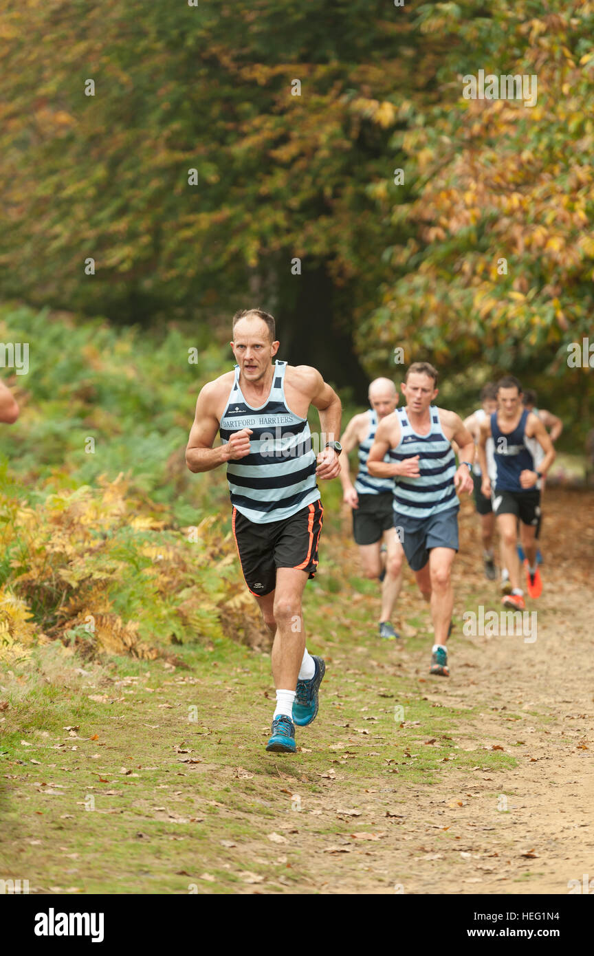 Première course de la saison en cours de remise en forme de Kent en course ligue Knole Park champ massive cross country 561 équipes de coureurs Banque D'Images Première course de la saison en cours de remise en forme de Kent en course ligue Knole Park champ massive cross country 561 équipes de coureurs Banque D'Images