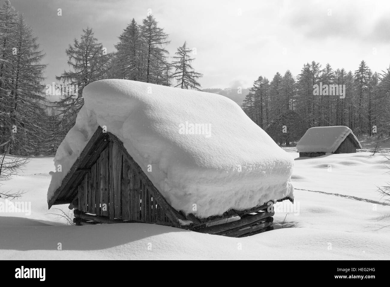 Autriche, Tyrol, paysages d'hiver dans l'Holzleiten Selle (col) Banque D'Images