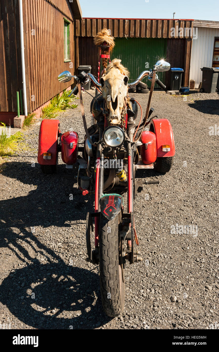 Une moto à trois roues / chopper sur mesure, moto ornée d'un crâne de cheval et de perruques. Banque D'Images