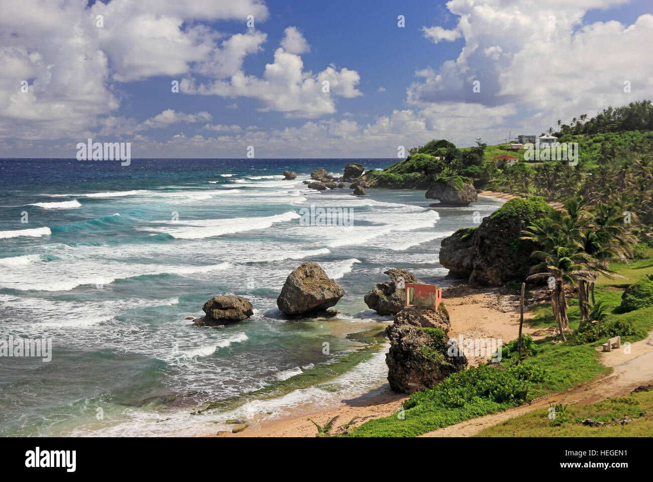 Plage, rochers et vagues sur la côte est de la Barbade Banque D'Images