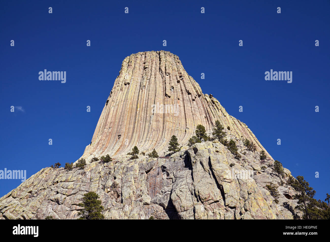 Devils Tower, une butte laccolith composé de roche ignée dans la Bear Lodge Montagnes, Haut attraction dans Wyoming State, USA. Banque D'Images