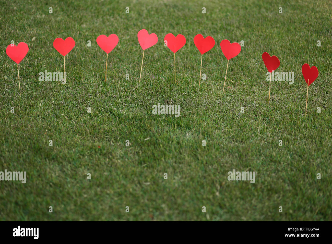 Forme de coeur découper avec des bâtons sur la pelouse Banque D'Images