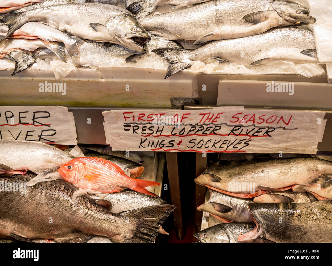 Le saumon frais sur la glace dans un marché de fruits de mer Banque D'Images
