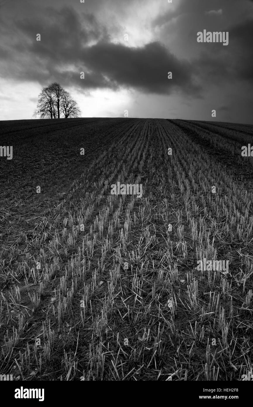 Brightwell Barrow, Oxfordshire, Angleterre Banque D'Images