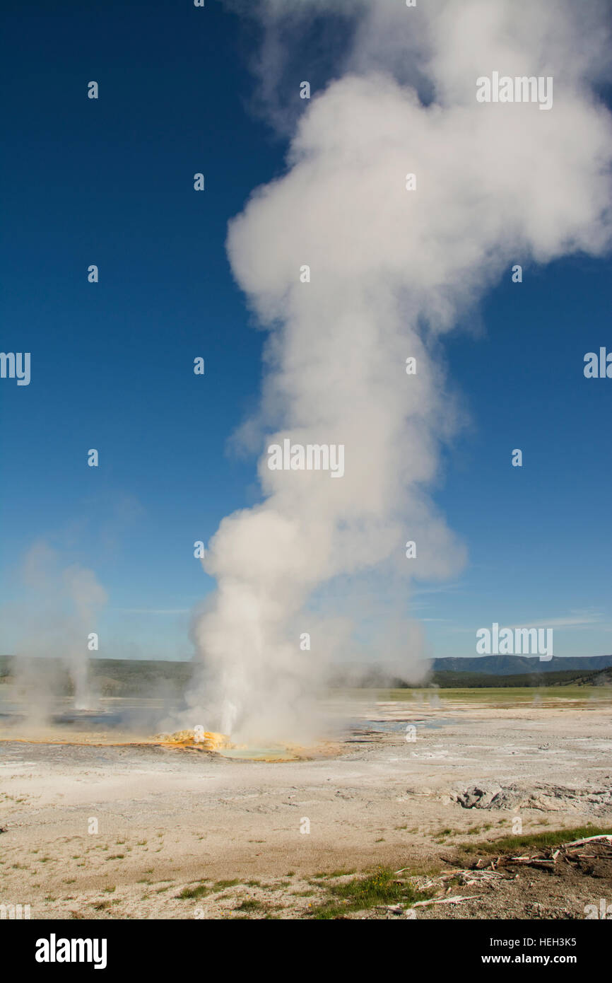 États-unis d'Amérique, USA, Wyoming, le Parc National de Yellowstone, WY, Fontaine les pots de peinture, les spasmes Sentier vapeur émettant Geyser Banque D'Images