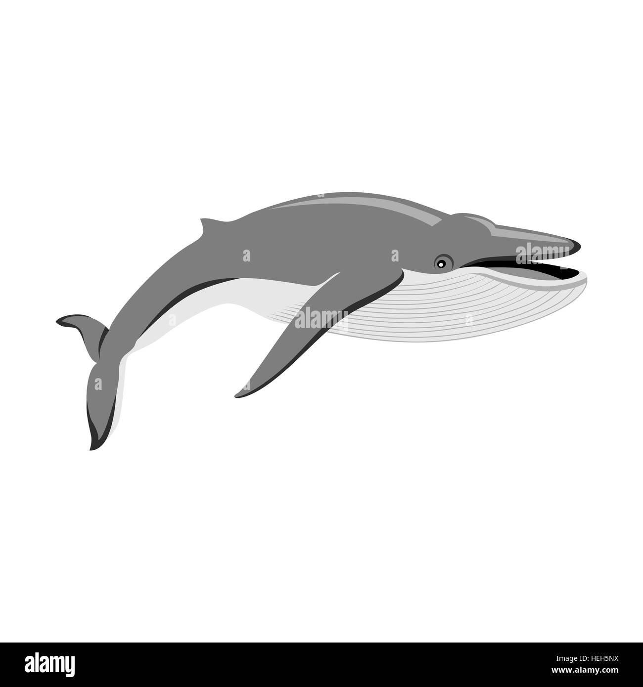 Baleine noire isolé sur fond blanc. Baleine monochrome noir isolé sur fond blanc. Plus gros animal de monde. D'énormes Illustration de Vecteur