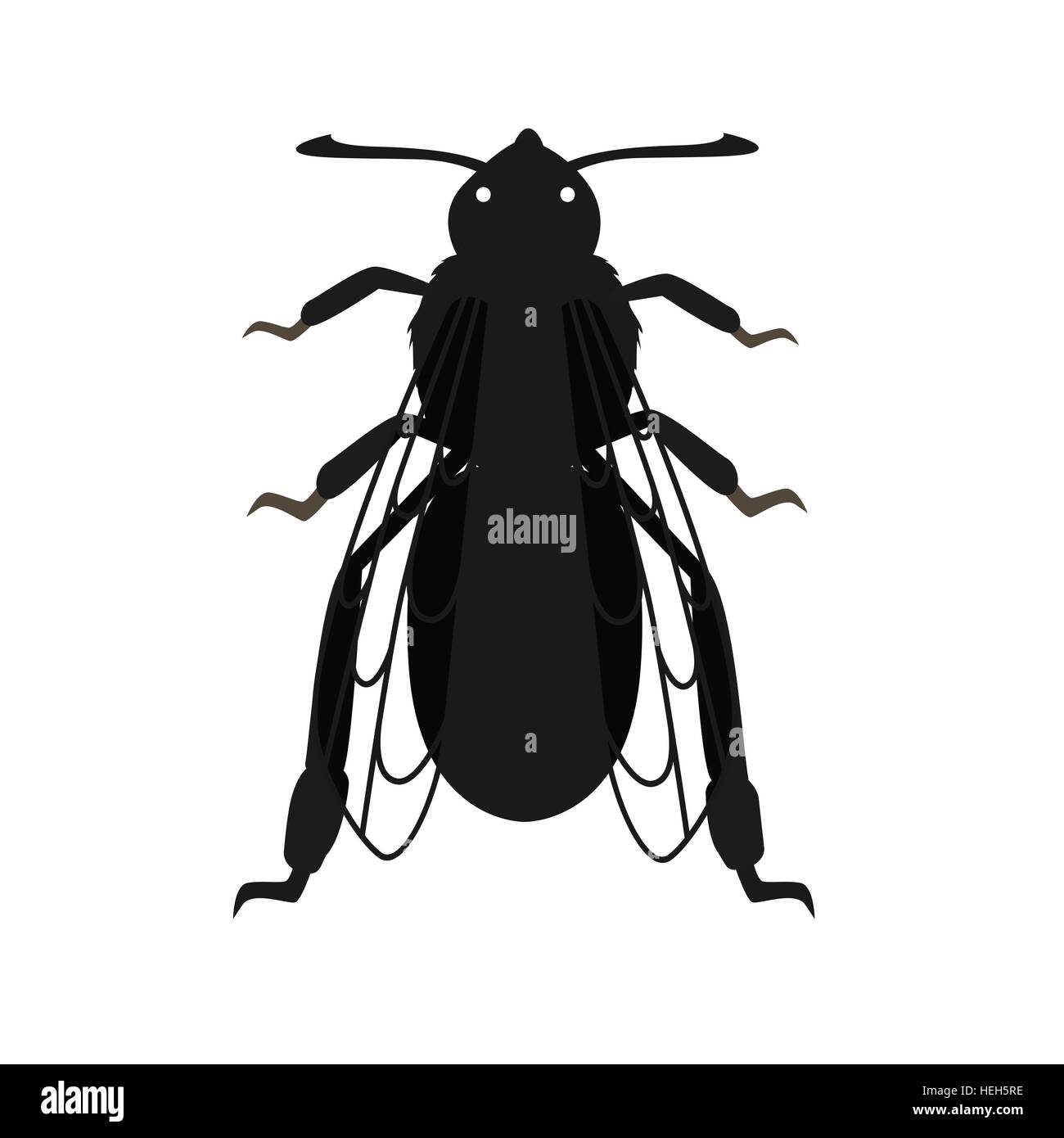 Abeille vecteur Icône. Vector cartoon reine abeille. Black bee isolé sur fond blanc Illustration de Vecteur