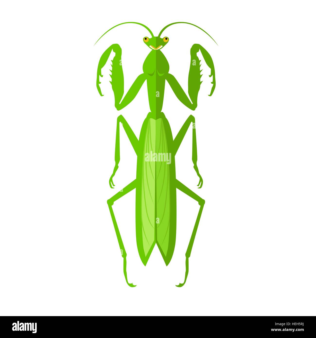 Sauterelle verte Icône. Nature vert cartoon cute les criquets et les sauterelles télévision icône. Antenne créature sauvage mignon d'invertébrés Illustration de Vecteur