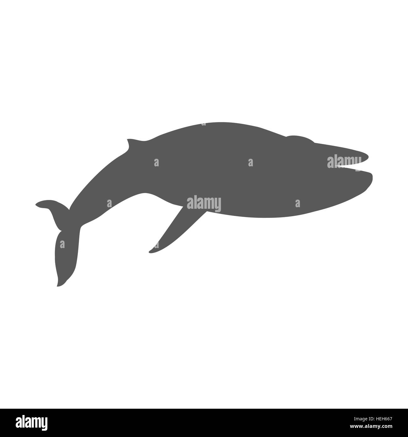 Baleine noire isolé sur fond blanc. Baleine monochrome noir isolé sur fond blanc. Plus gros animal de monde. D'énormes Illustration de Vecteur