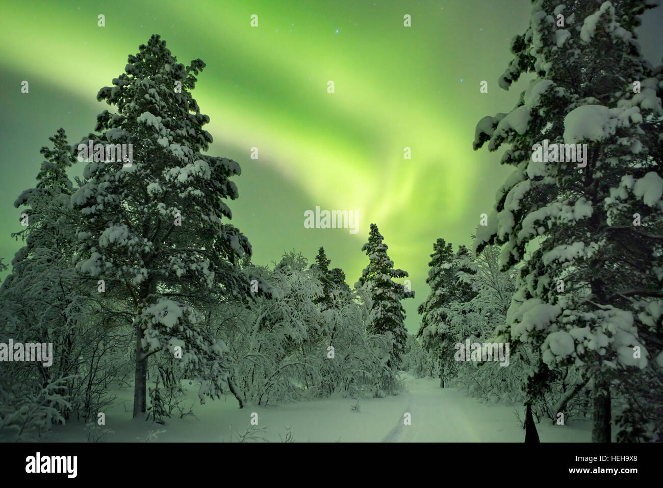 Des aurores boréales) sur un chemin à travers un paysage d'hiver en Laponie finlandaise. Banque D'Images