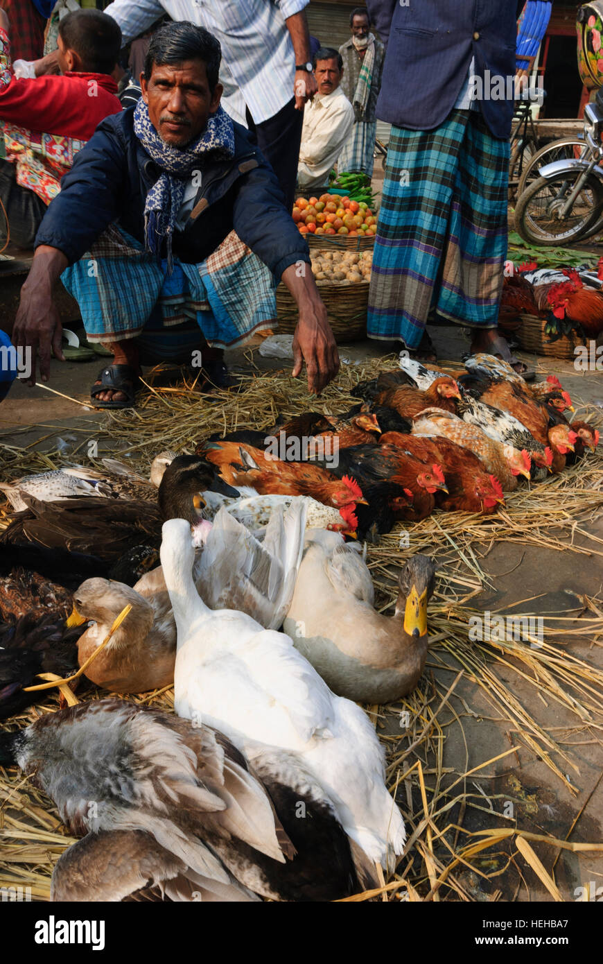 Barisal : Marché, volailles, poulets, division de Barisal, Bangladesh Banque D'Images