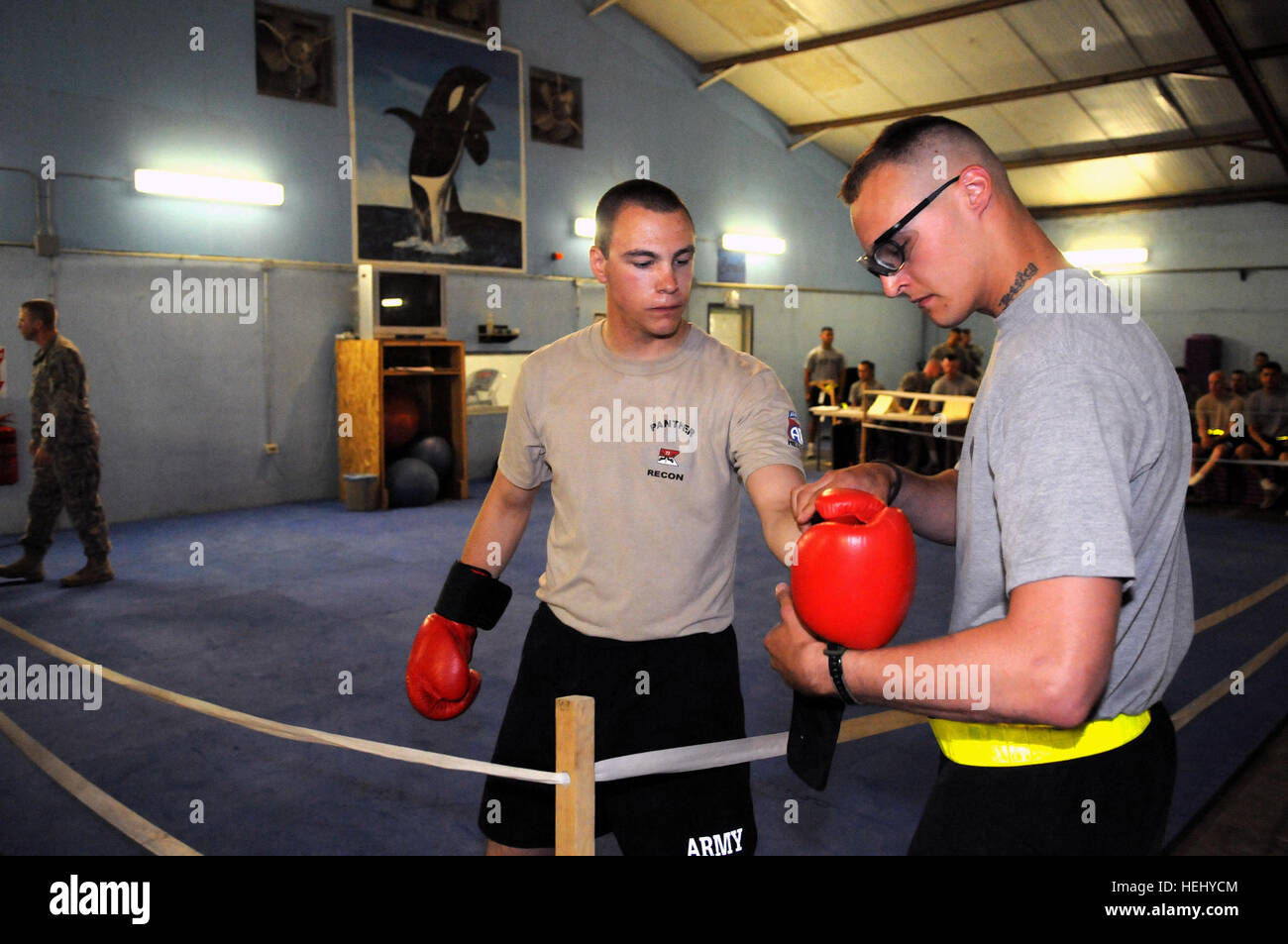 La CPS de l'armée américaine. Ryan Domke de 5e Escadron, 73e Régiment de cavalerie, 3e Brigade Combat Team, 82e Division aéroportée, enfile des gants de boxe en préparation d'une lutte au cours de Fight Night, une fois par semaine concours tenu au poste de sécurité commune de l'est de la loyauté, Bagdad, Irak, le 12 juin. Lutte nuit à la station commune de sécurité 181253 Fidélité Banque D'Images