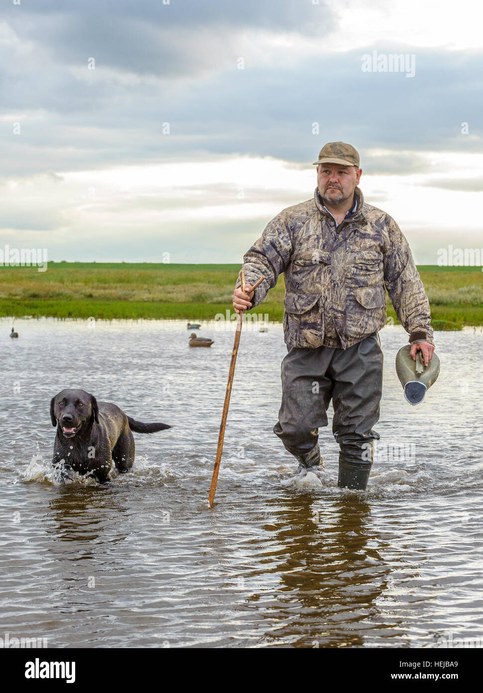 Un wildfowler UK, ou chasseur de canard, plaçant des leurres sur l'eau à l'aide d'un poteau et d'une pataugeoire suivie de son chien Banque D'Images