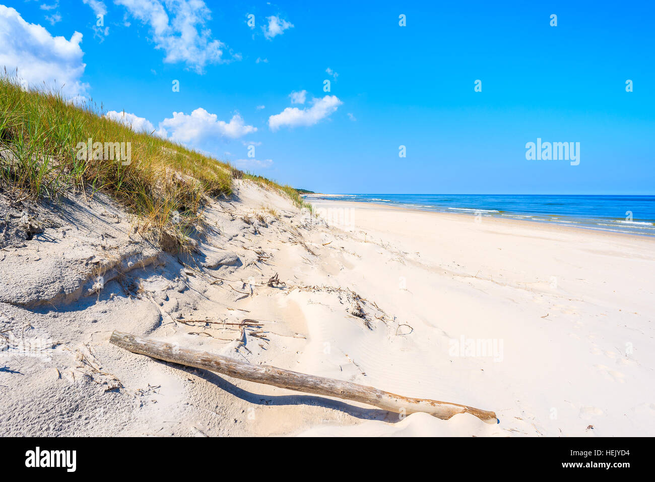 Tronc de l'arbre sec sur la plage de sable de la mer Baltique, village Lubiatowo, Pologne Banque D'Images