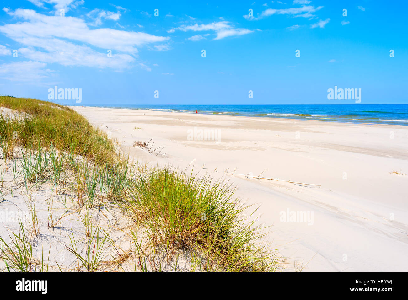 L'herbe verte sur des dunes de sable de la mer Baltique, plage Debki, Pologne Banque D'Images