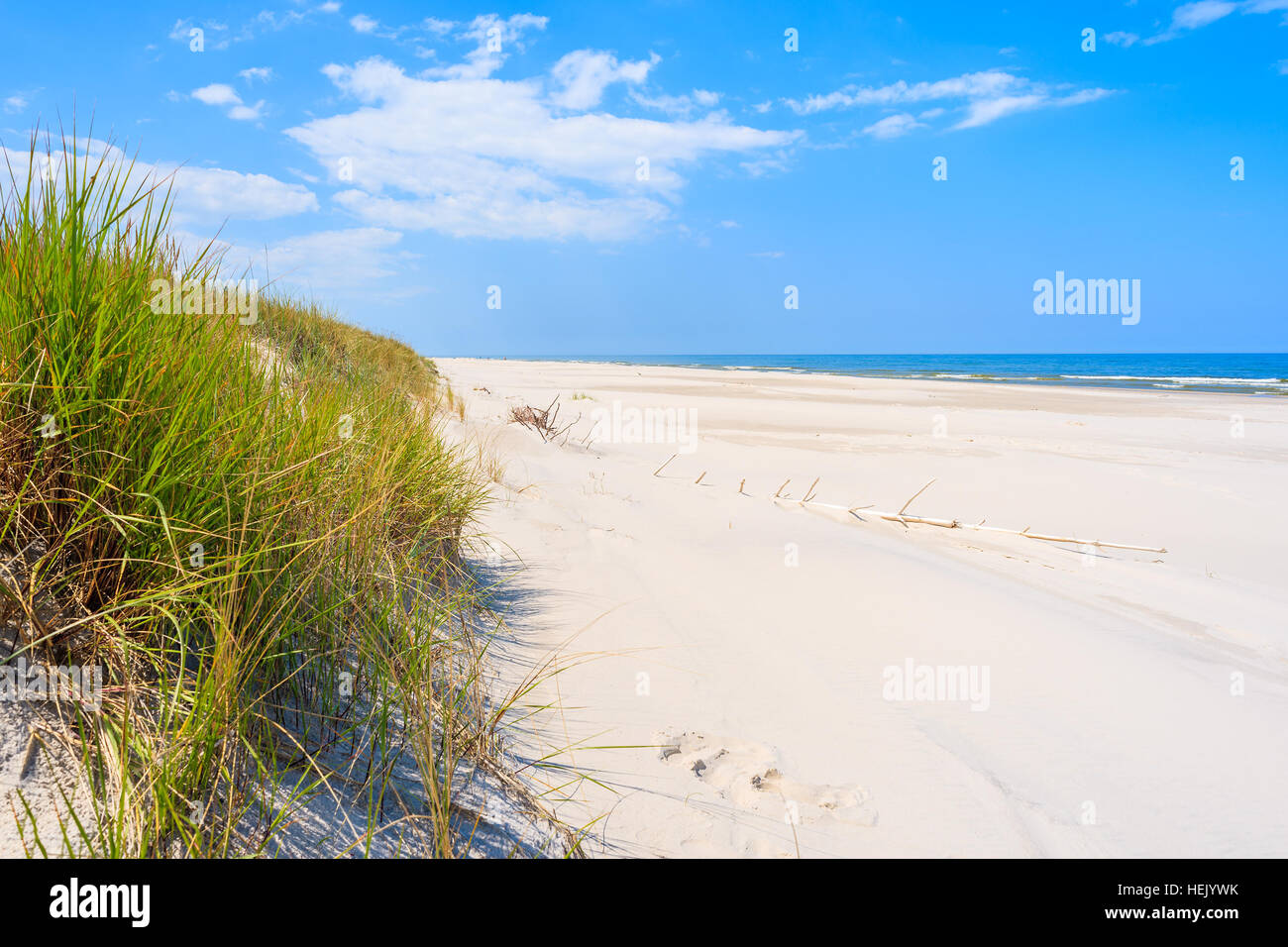 L'herbe verte sur des dunes de sable de la mer Baltique, plage Debki, Pologne Banque D'Images