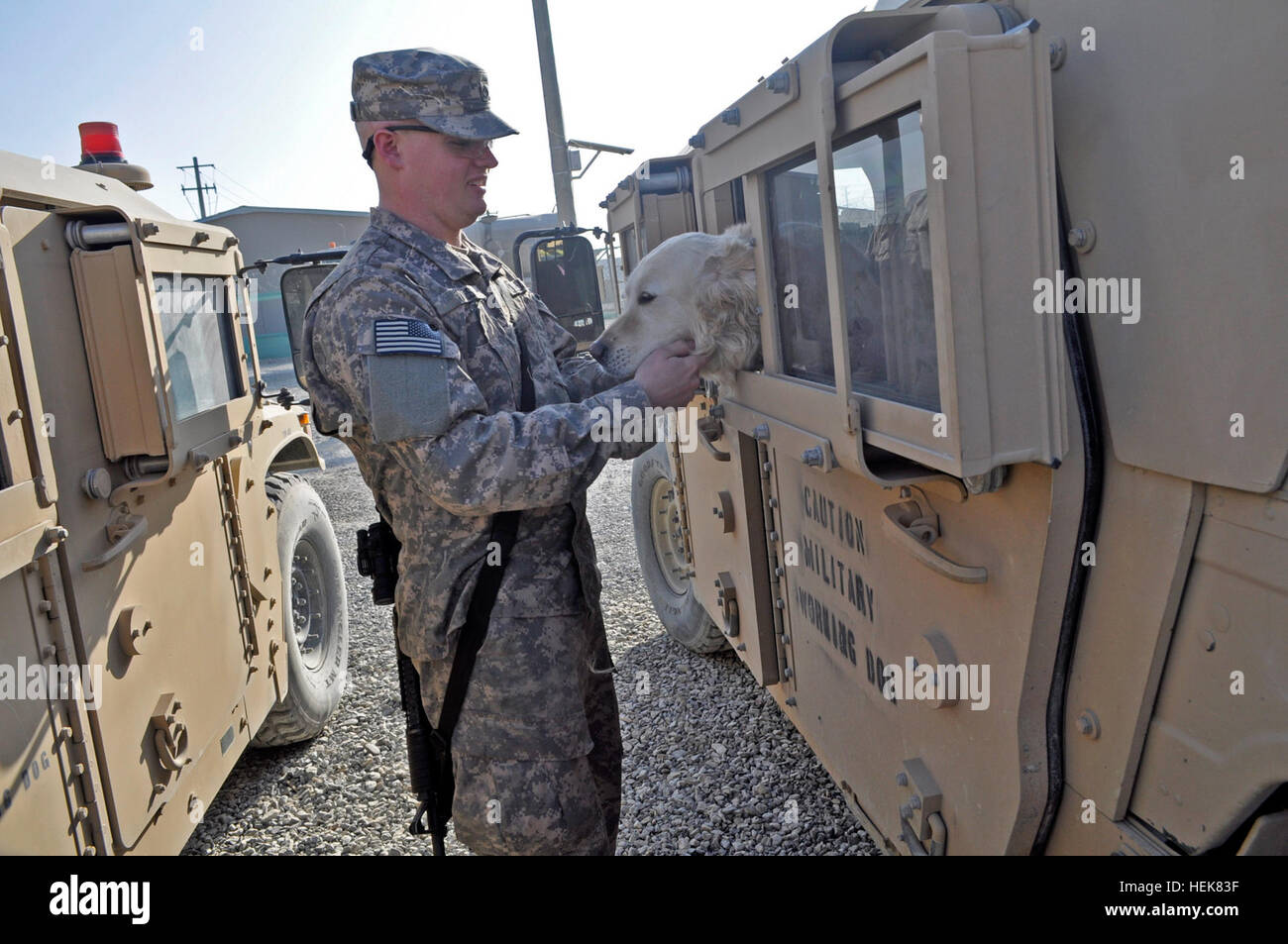 La province de Parwan, Afghanistan - ARMÉE AMÉRICAINE PFC. Raborne Vignes, 54e bataillon du génie, Groupe de travail de l'aumônier Dolch assistant et natif d'Abbeville, Ala., passe du temps de qualité avec Sir Fred, un chien de travail militaire affecté à TF Dolch 49e Détachement de la détection de mines, avant un exercice conçu pour garder des chiens de détection de mines sens forte de Bagram Airfield, Afghanistan, le 15 décembre. La Reine d'Angleterre fait chevalier Sir Fred, un 10-year-old Golden Retriever qui a été l'un des premiers chiens de travail militaire britannique américains formés pour la détection des mines. Sir Fred a servi de MWD pendant plus de t Banque D'Images