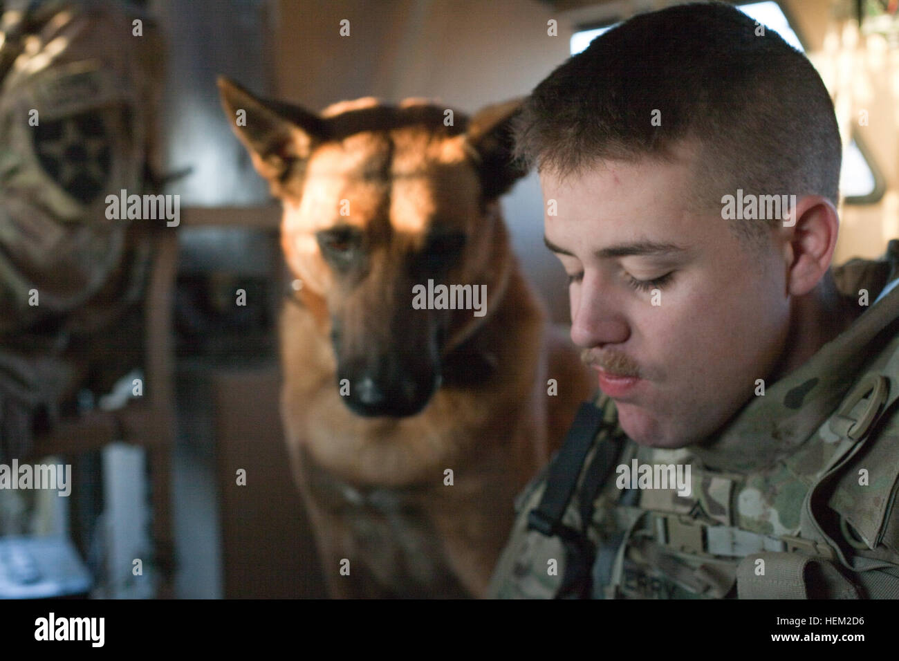 Chien de travail militaires Brandon observe ses handler, Sgt. Jason Terry auprès des forces armées des États-Unis - Afghanistan, mange pendant une pause à la province de Kandahar, en Afghanistan, le 6 février 2012. Brandon est utilisé pour détecter les engins explosifs lors d'opérations militaires. Pierre Meulière opération je 120206-A-VB845-001 Banque D'Images
