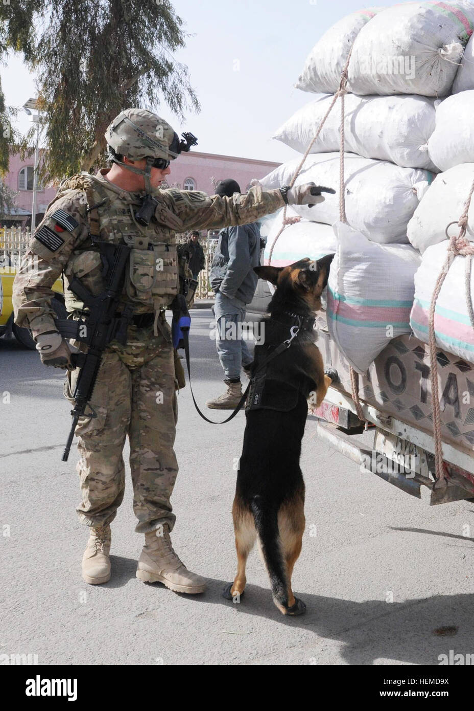 Au Maître de 2e classe d'armes et de son chien Whisker Nicholas Heby Recherchez un camion pour les odeurs dans la ville de Kandahar, 12 janvier. Wag the dog, homologues Canine 130112-A-IX573-079 Banque D'Images