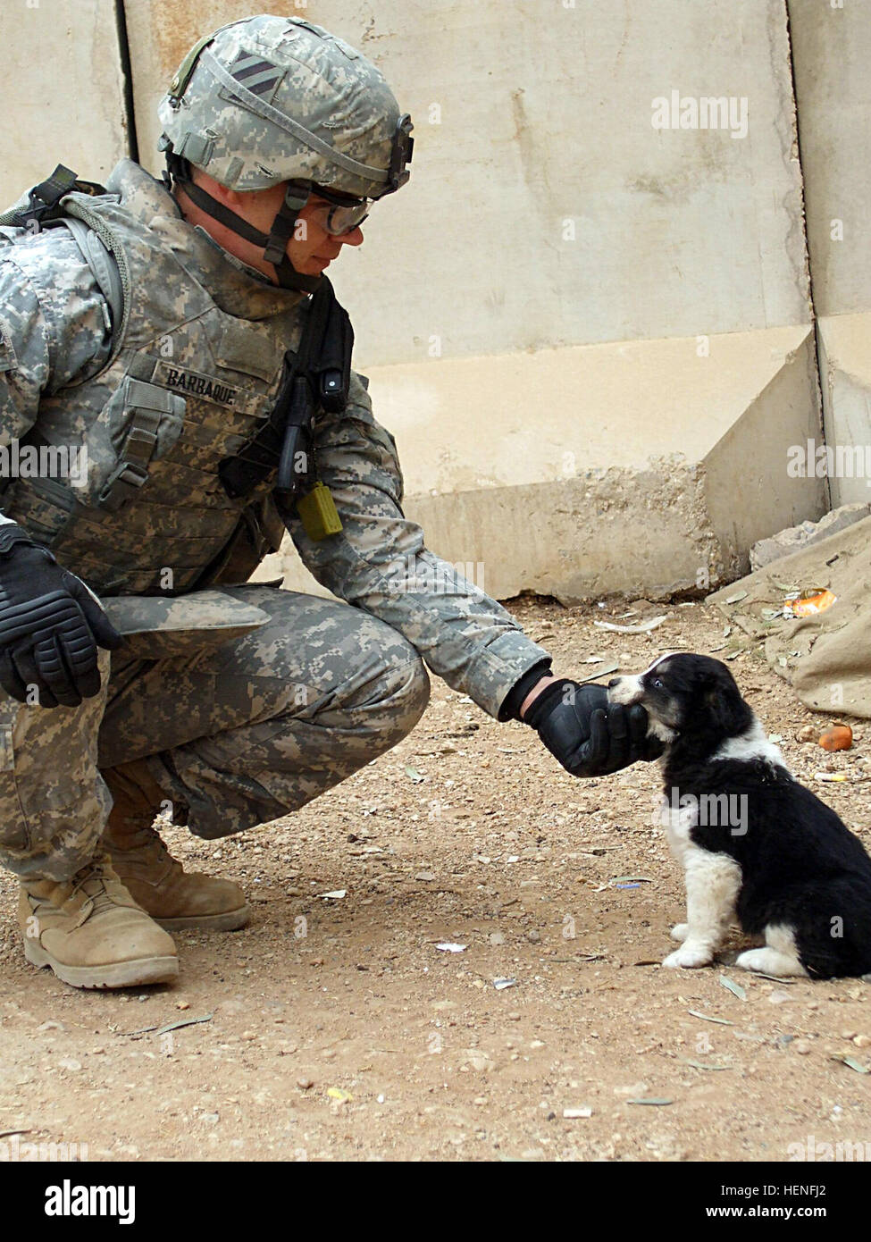 Un soldat de l'Armée américaine à partir de la 4e Brigade Combat Team, 3e Division d'infanterie, animaux domestiques un chiot adopté par la police irakienne et les conserver à l'Musayyib station de police irakienne, l'Irak, le 11 mars 2008. Le nouveau meilleur ami de police 95689 Banque D'Images