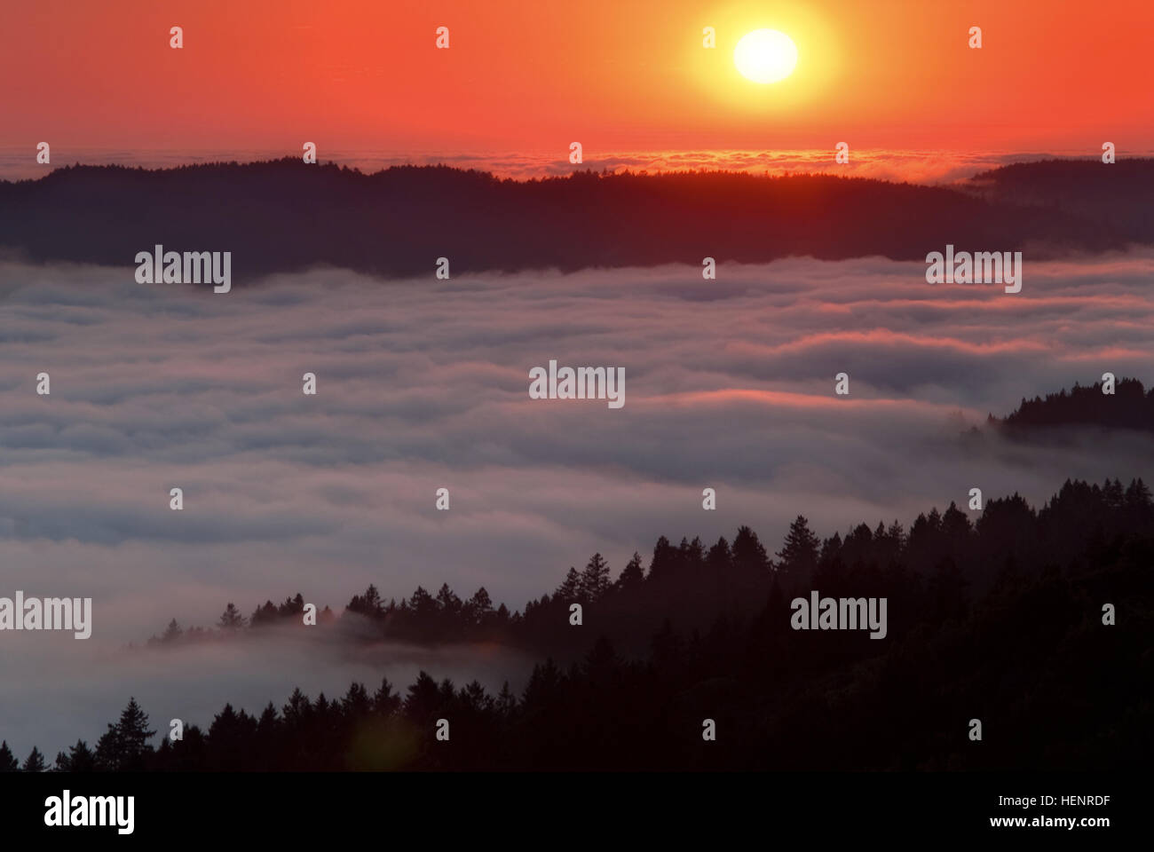 Bolinas Ridge, Calfiornia Banque D'Images