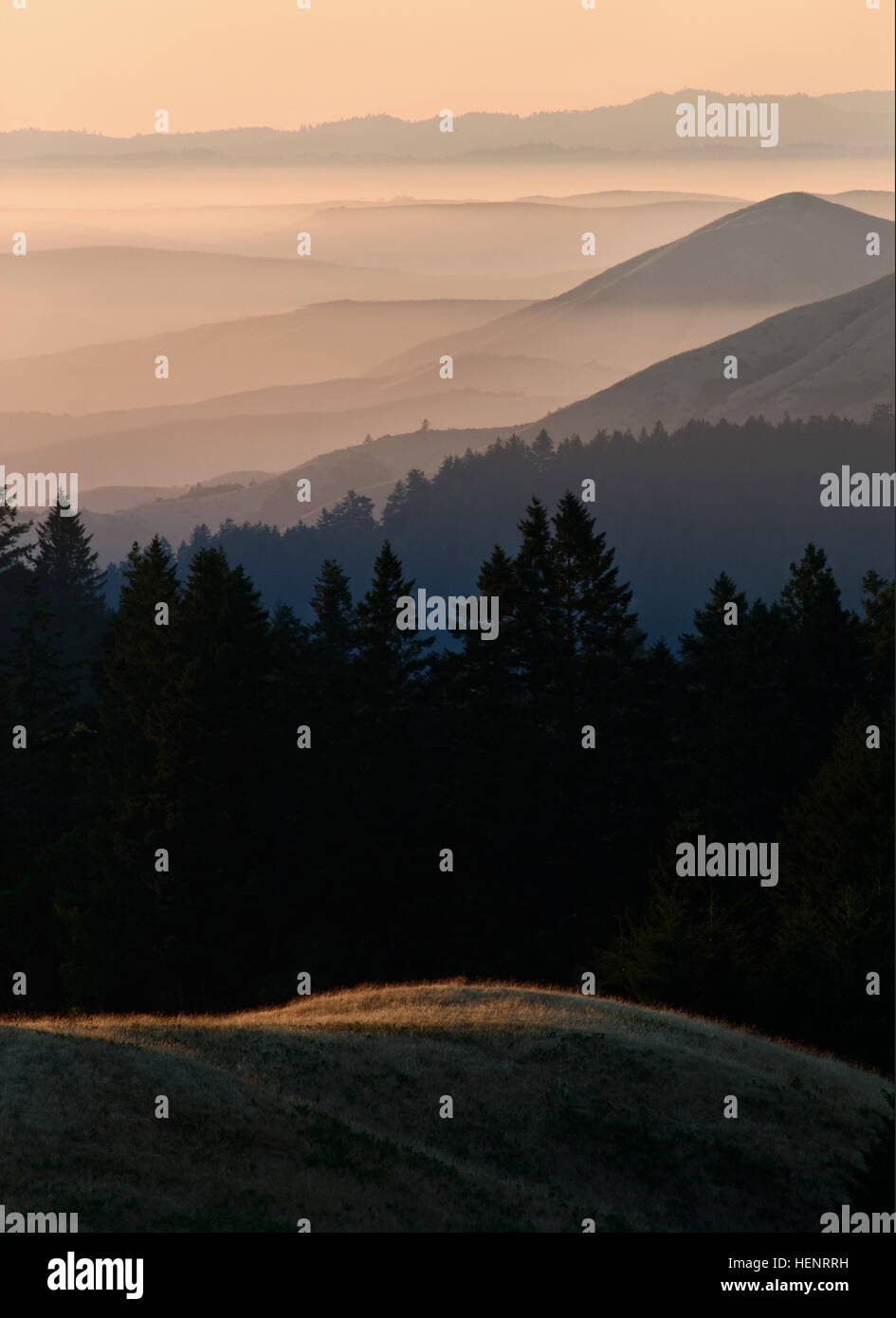 Bolinas Ridge, Calfiornia Banque D'Images