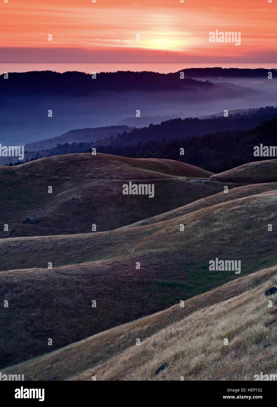 Bolinas Ridge, Calfiornia Banque D'Images