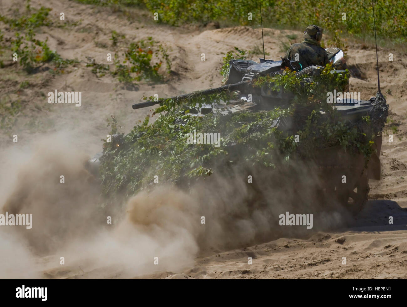 Une armée allemande Wiesel A2 avec canon de 20 mm monté dans le bois à proximité de réflexion pour une meilleure ligne de couvrir et de dissimulation au cours de la deuxième journée de formation multinationale au grand Hetman Jonusas lituanienne Radvila, Régiment de formation de Rukla, la Lituanie, le 11 juin 2015. La formation fait partie d'un vaste exercice mené tout au long de la Baltique appelé grève Sabre 2015. Grève de sabre depuis longtemps de l'Europe de l'armée américaine a conduit à l'exercice de formation coopérative. Cette année, l'exercice objectifs faciliter la coopération entre les États-Unis, l'Estonie, Lettonie, Lituanie, Pologne et à améliorer les operati Banque D'Images