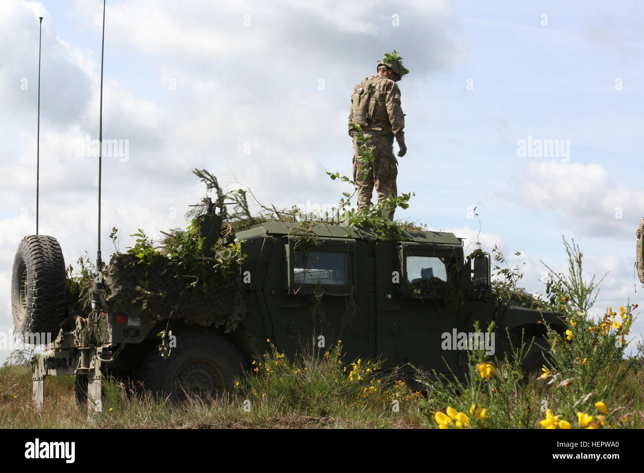 La CPS de l'armée américaine. Christian Evans affecté au 2e Bataillon, 7e Division d'infanterie, 1ère Brigade Blindée,Combat Team, lieux d'arbustes autour de son HUMVEE pour dissimulation pendant Anakonda 2016 à Drawsko Pomorskie, Pologne, le 9 juin. Anakonda 2016 est un exercice multinational dirigée par la Pologne, qui aura lieu en Pologne du 7 au 17 juin. Cet exercice implique plus de 25 000 participants de plus de 20 nations.(U.S. Vidéo de l'armée par la CPS. Jacquelynn Gaines/) Parution Anakonda 2016 160609-A-AN121-002 Banque D'Images