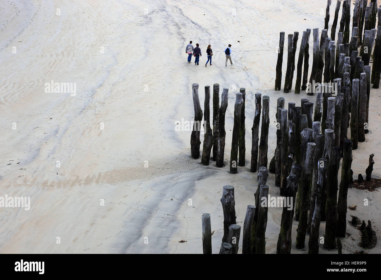 Frankreich, Région Bretagne, Saint Malo, Leute gehen bei Ebbe am Strand spazieren, Holzpfähle stecken im Sand, dans Reihen aufgestellt, Wellenbreche Banque D'Images