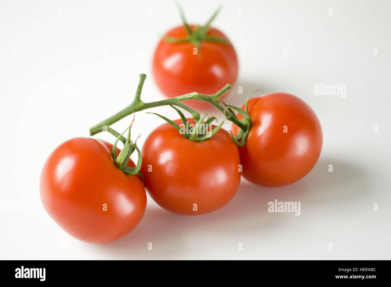 Vier Strauchtomaten auf weißem Tisch Banque D'Images