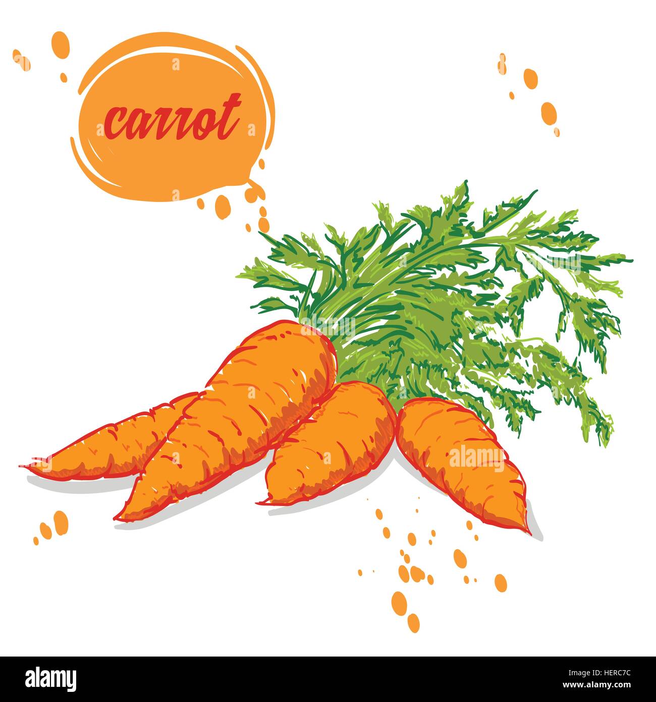 Les légumes bio carottes Illustration de Vecteur
