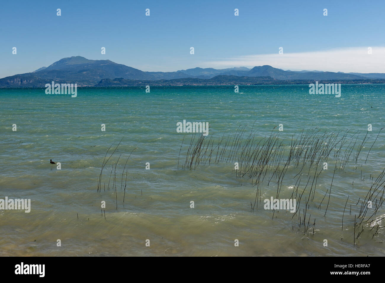 Le lac de Garde, péninsule de Sirmione, Province de Brescia, Lombardie, Italie Banque D'Images