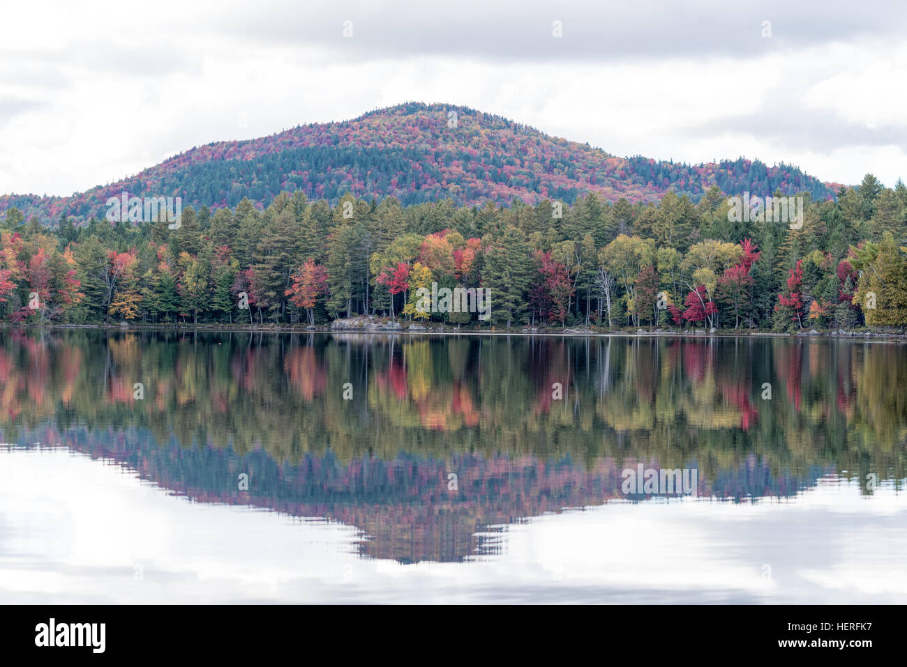 Dans un lac de montagne dans la région de Saint Regis Canoe Adirondack de New York State Park. Banque D'Images